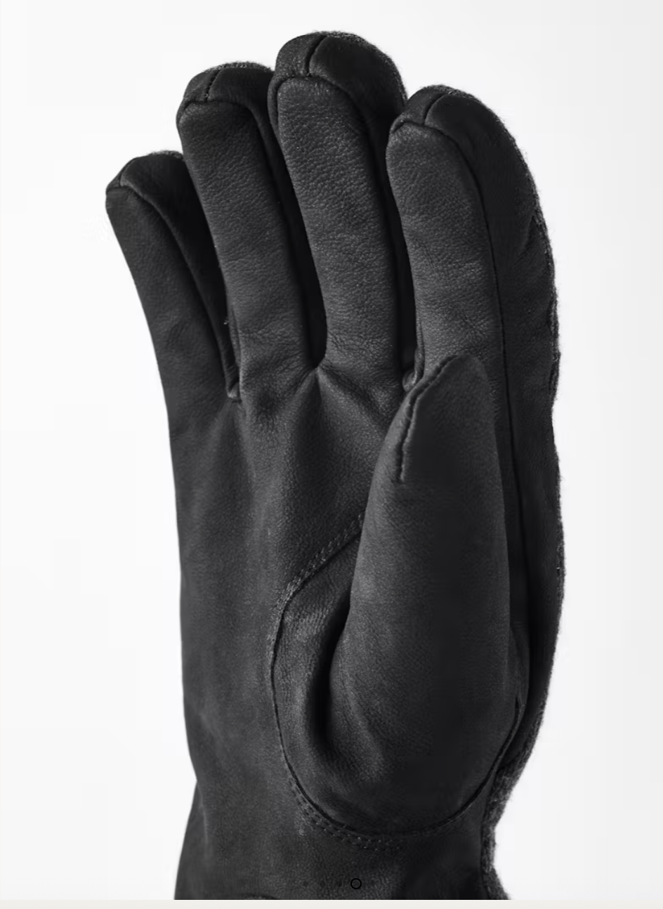 Hestra Noah Glove