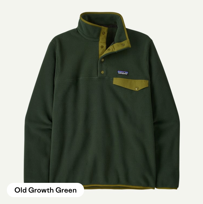 Patagonia LW Synchilla® Snap-T® Fleece Old Growth Green