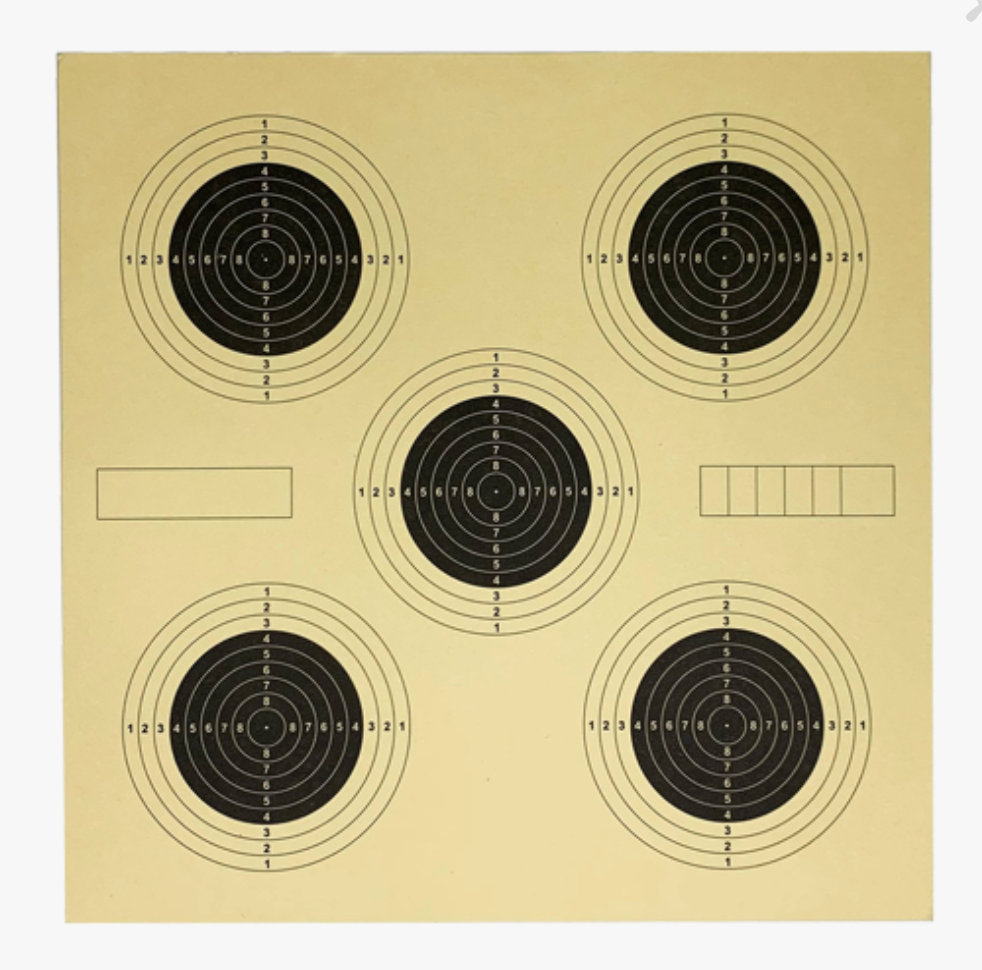 100 Paper Targets for Air Gun