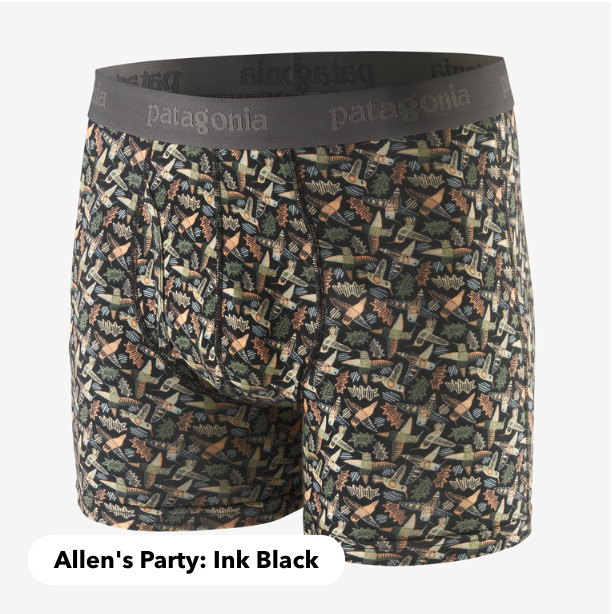 Patagonia Men's Essential Boxer Briefs - 3"