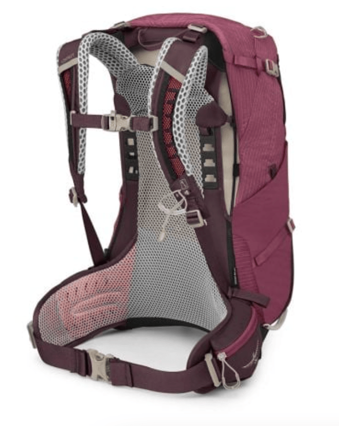 Osprey Bag ELDERBERRY PURPLE/CHIRU TAN Osprey Sirrus 24L Bag