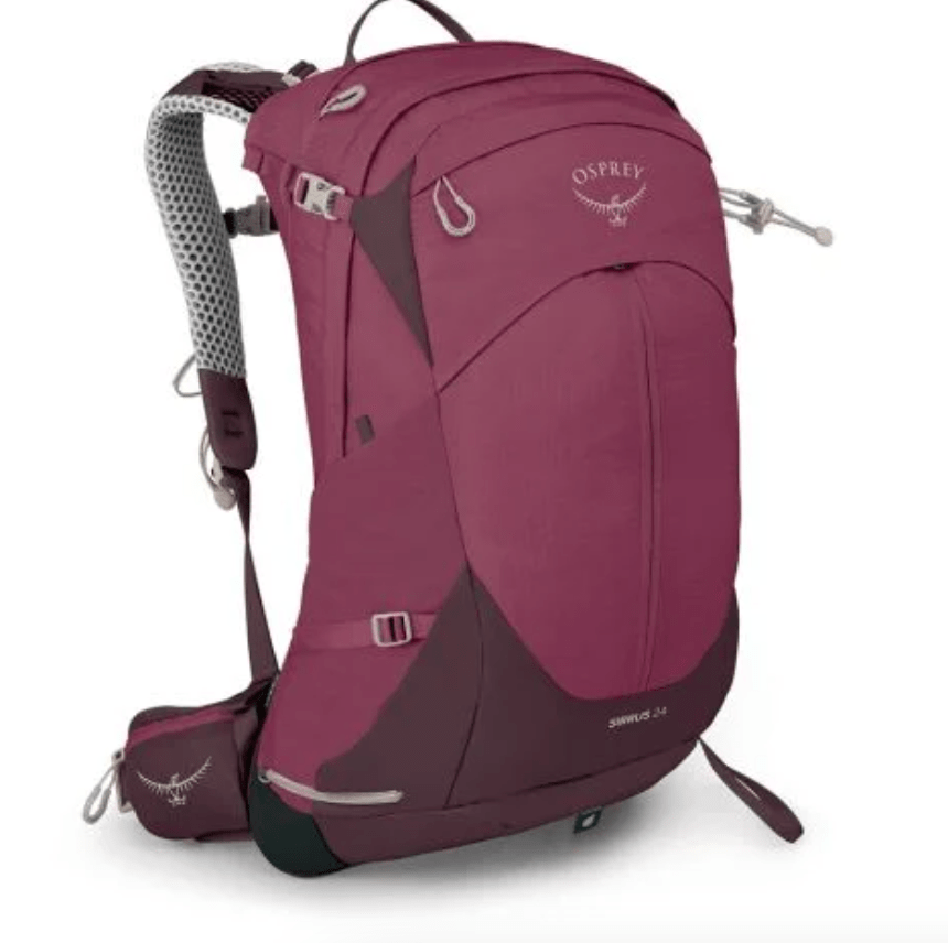 Osprey Bag ELDERBERRY PURPLE/CHIRU TAN Osprey Sirrus 24L Bag
