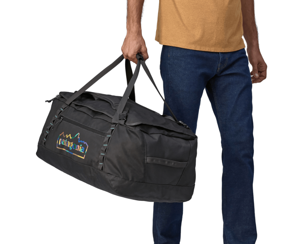 Patagonia Bag Patagonia Black Hole® Duffel