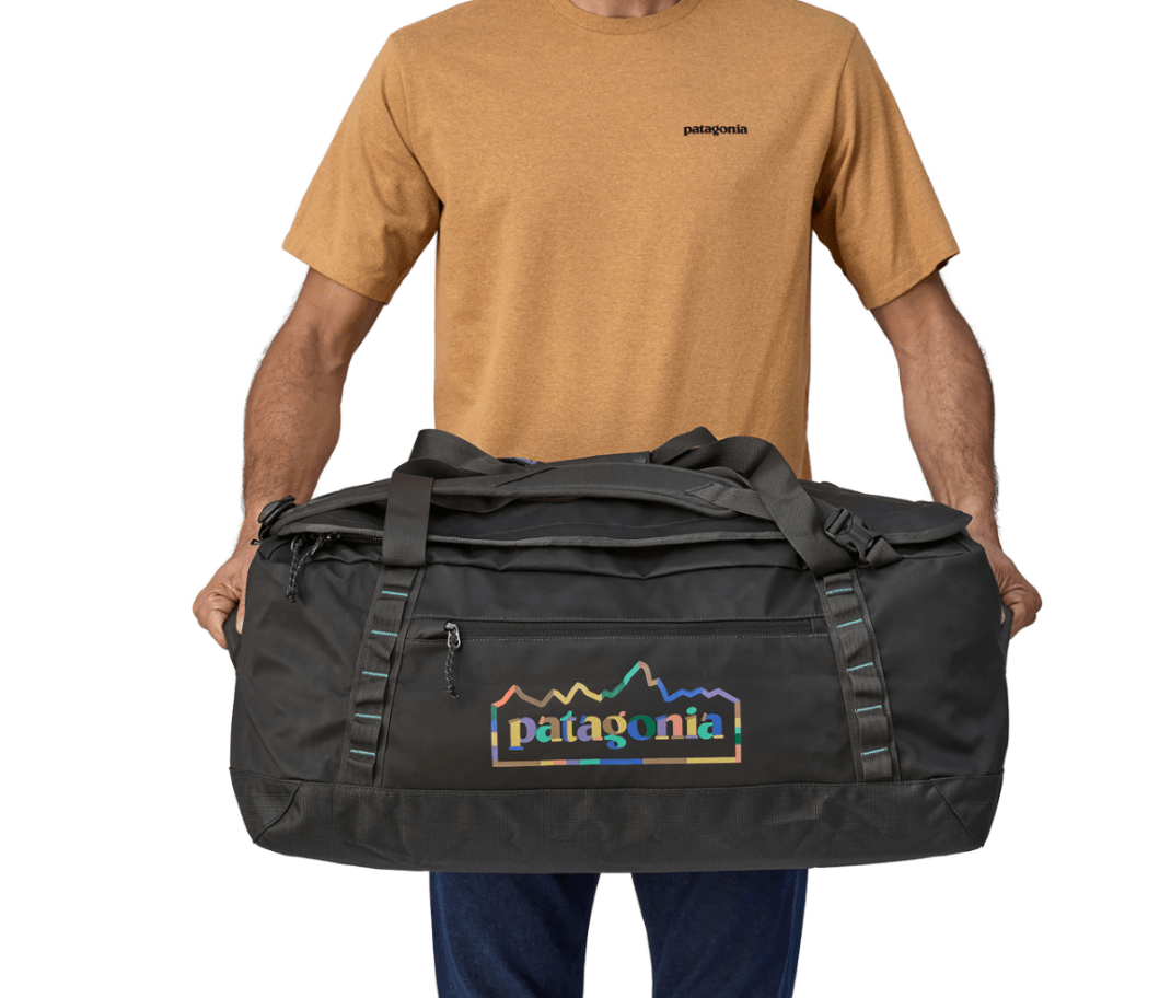 Patagonia Bag Patagonia Black Hole® Duffel