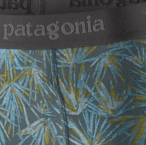 Patagonia Boxer Shorts Patagonia Men's Essential Boxer Briefs - 3