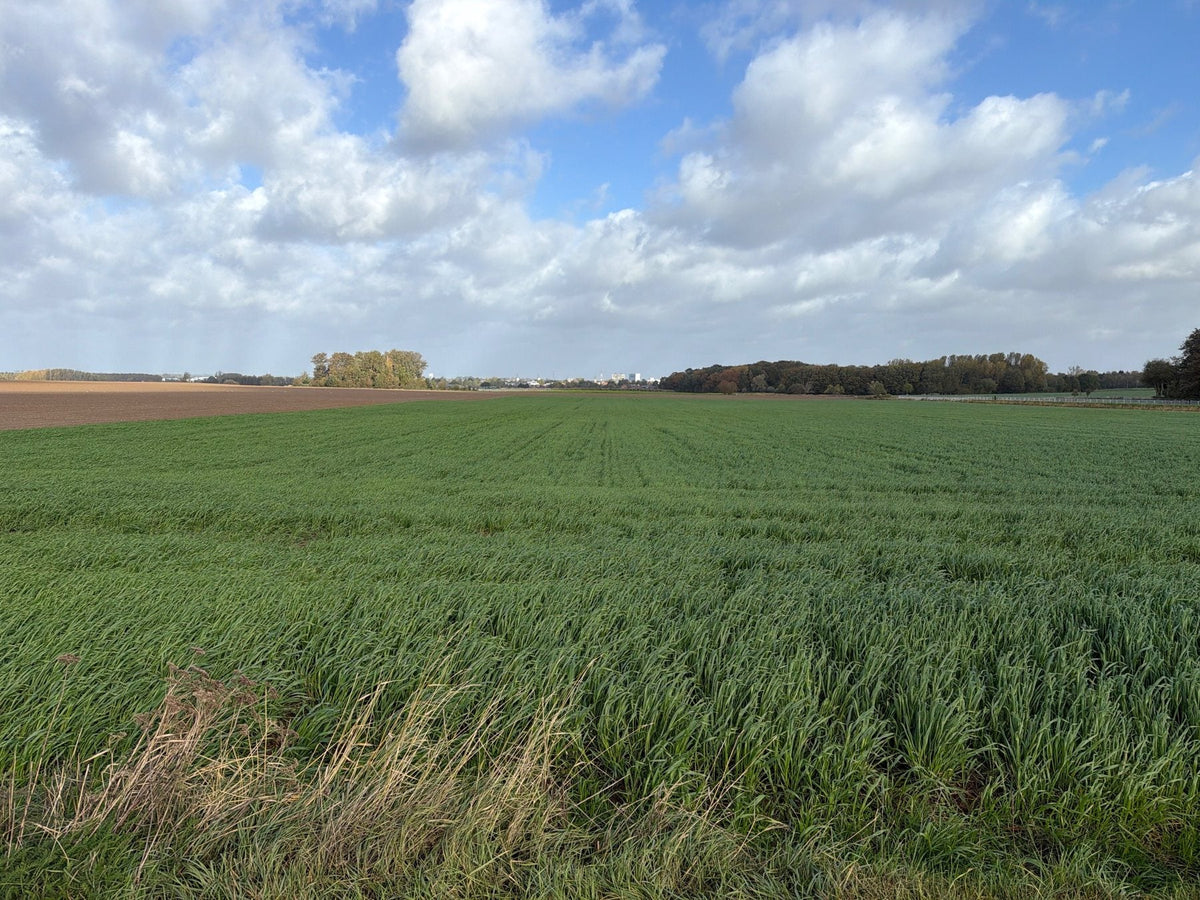 Tegen de wind in: stevige wandeling in Bost