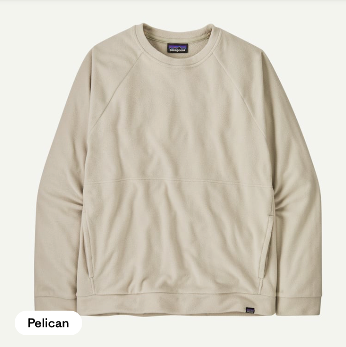 Patagonia Men's Micro D™ Fleece Crewneck