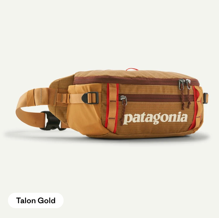 Patagonia Black Hole® Waist Pack 5L
