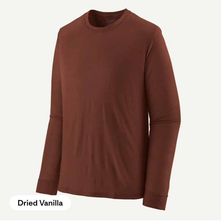 Patagonia Men's Long-Sleeved Capilene® Cool Merino Blend Shirt
