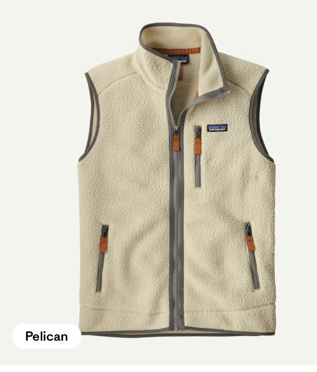 Patagonia Men's Retro Pile Fleece Vest