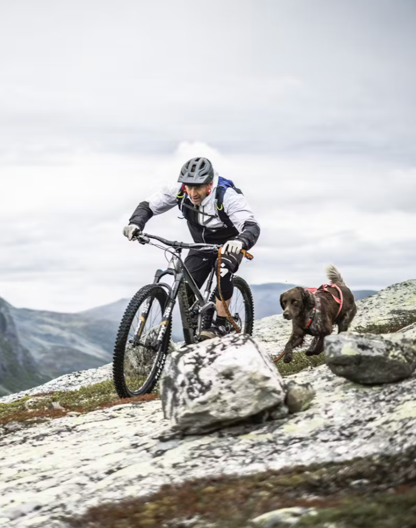 Hestra Windbreaker Tracker - 5 finger