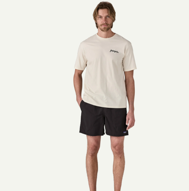 Patagonia Baggies™ Shorts - 5"