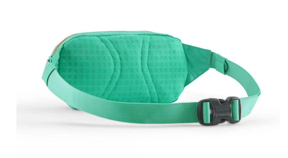 Patagonia Terravia Mini Hip Pack 1L