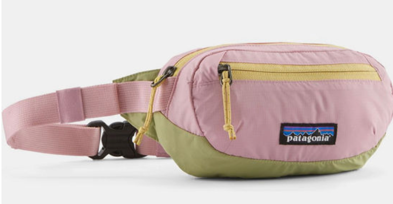 Patagonia Terravia Mini Hip Pack 1L
