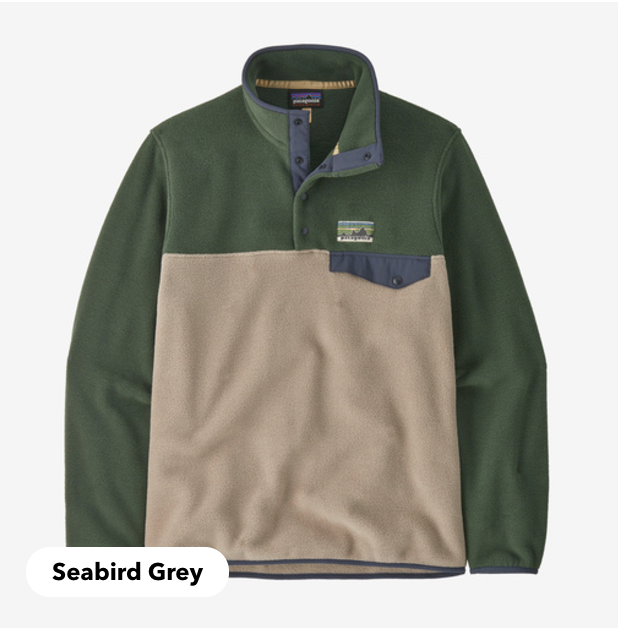 Patagonia Men's Lightweight Synchilla® Snap-T® Fleece Pullover