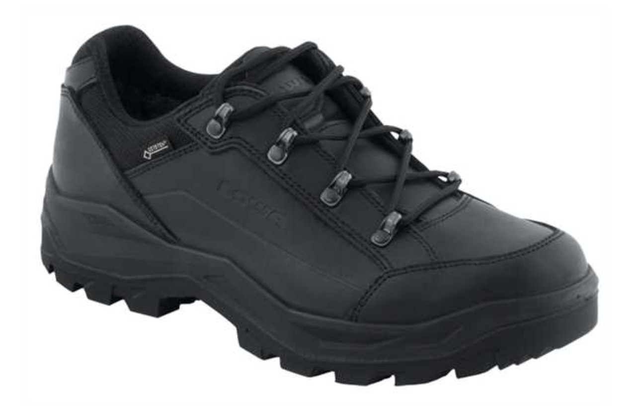 Lowa Shoes 5 UK / Black Lowa Renegade II GTX LO TF