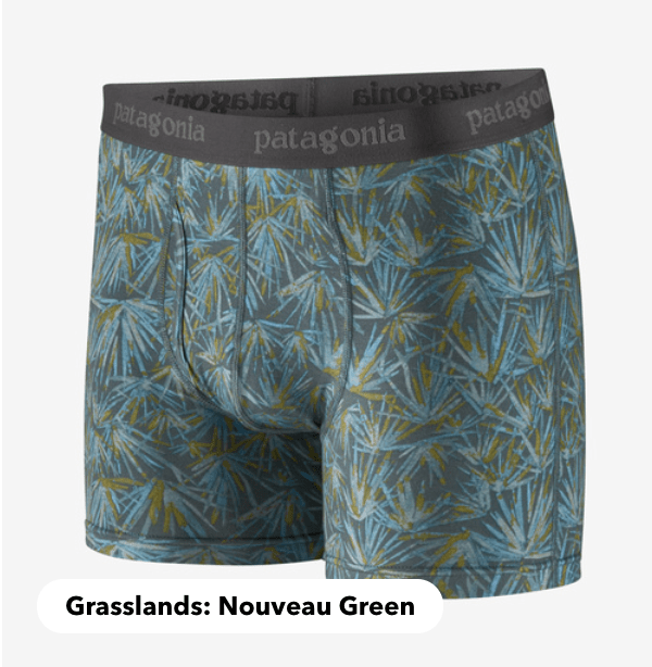 Patagonia Boxer Shorts L / Grasslands: Nouveau Green Patagonia Men's Essential Boxer Briefs - 3
