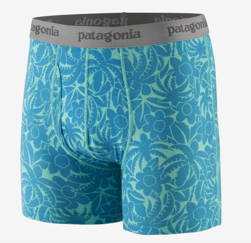 Patagonia Boxer Shorts S / Abundance: Early Teal Patagonia Men's Essential Boxer Briefs - 3