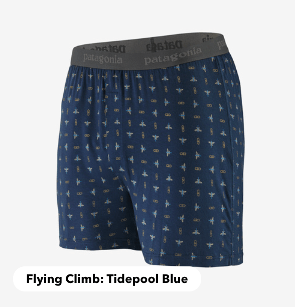 Patagonia Boxer Shorts S / Flying Climb Tidepool Blue Patagonia Men's Essential Boxer Briefs - 3"