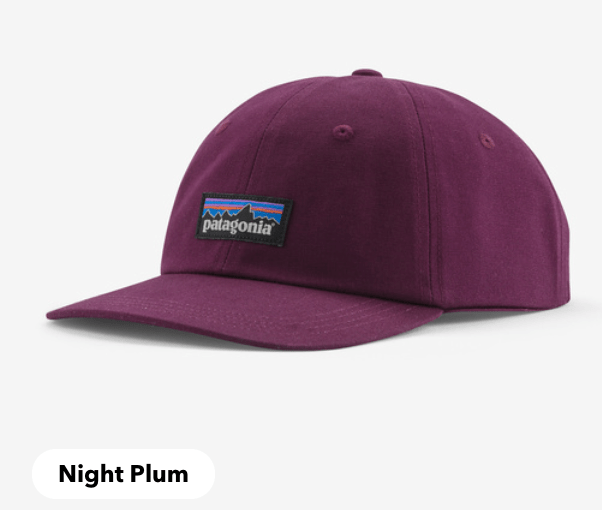 Patagonia Cap Patagonia P-6 Label Trad Cap