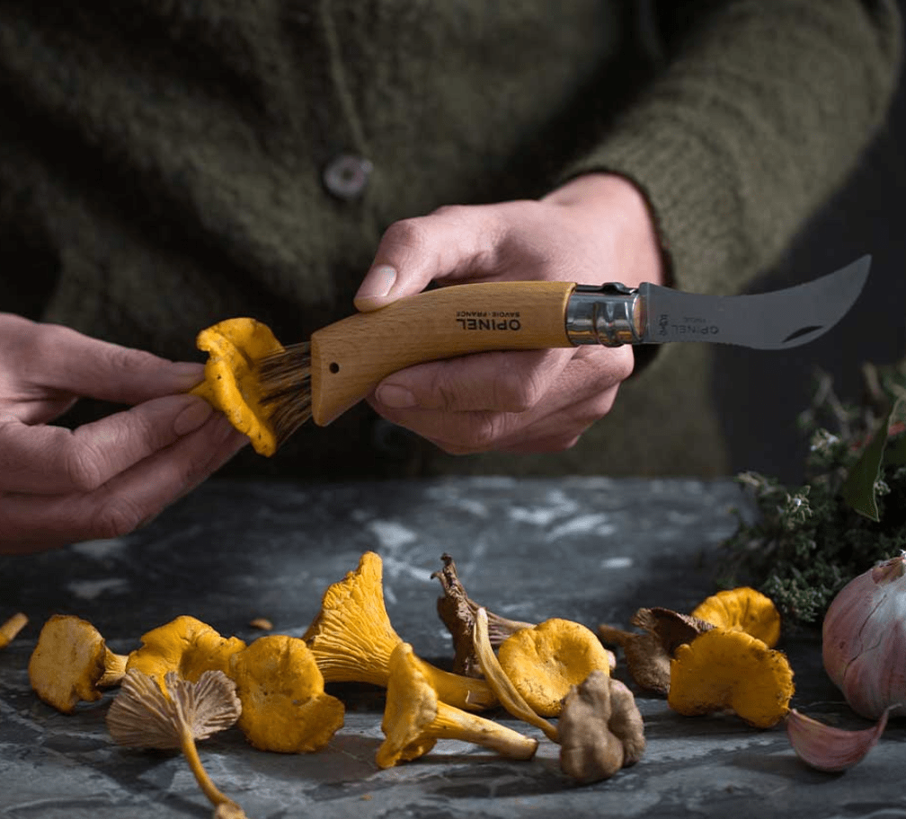 Opinel Knife Opinel N°08 Mushroom Knife