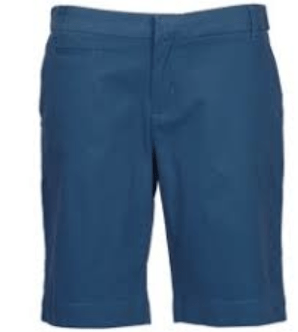Patagonia Shorts M / Blue Patagonia Stretch All Wear Shorts W's
