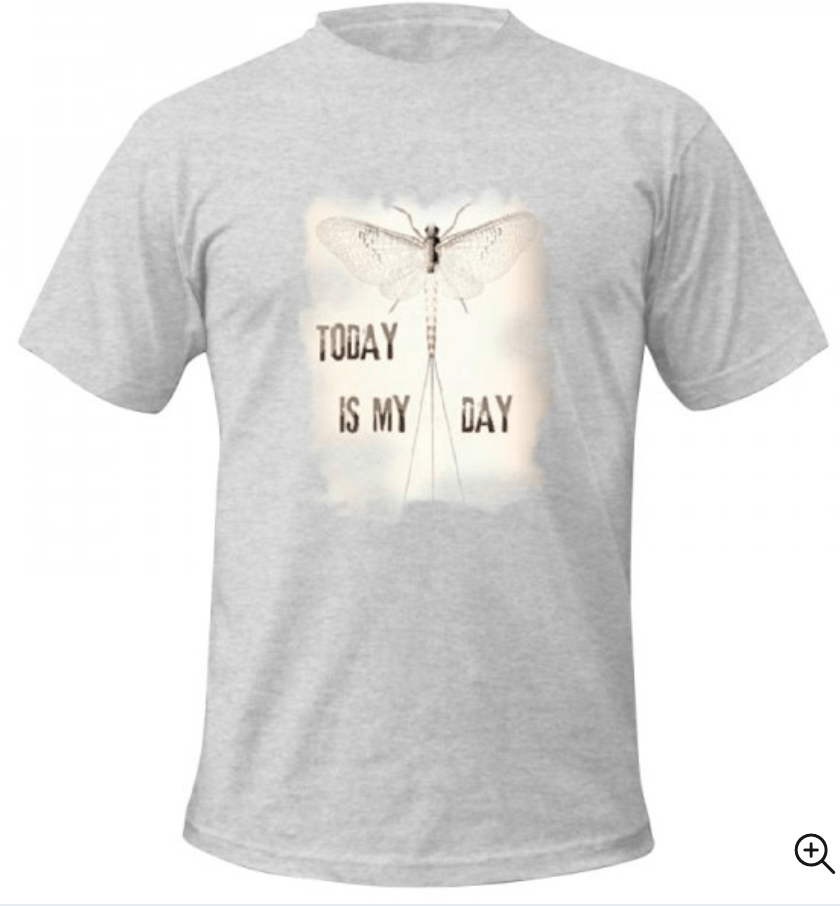 Traun River T-Shirt M / Heather Grey Traun River T-shirt Today Is My Day